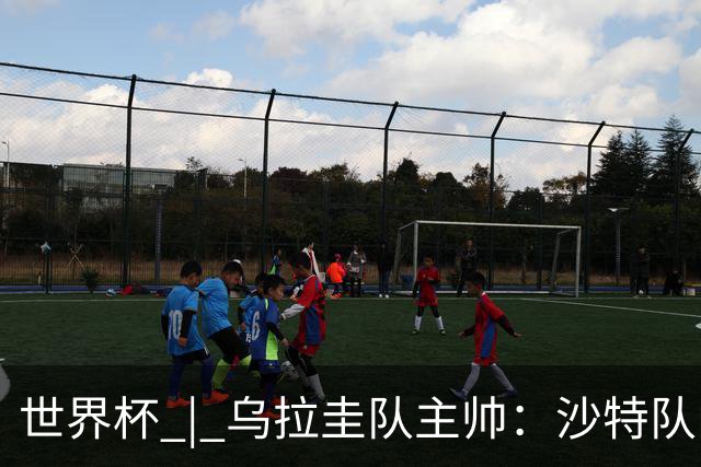 世界杯 | 乌拉圭队主帅：沙特队门将太出色